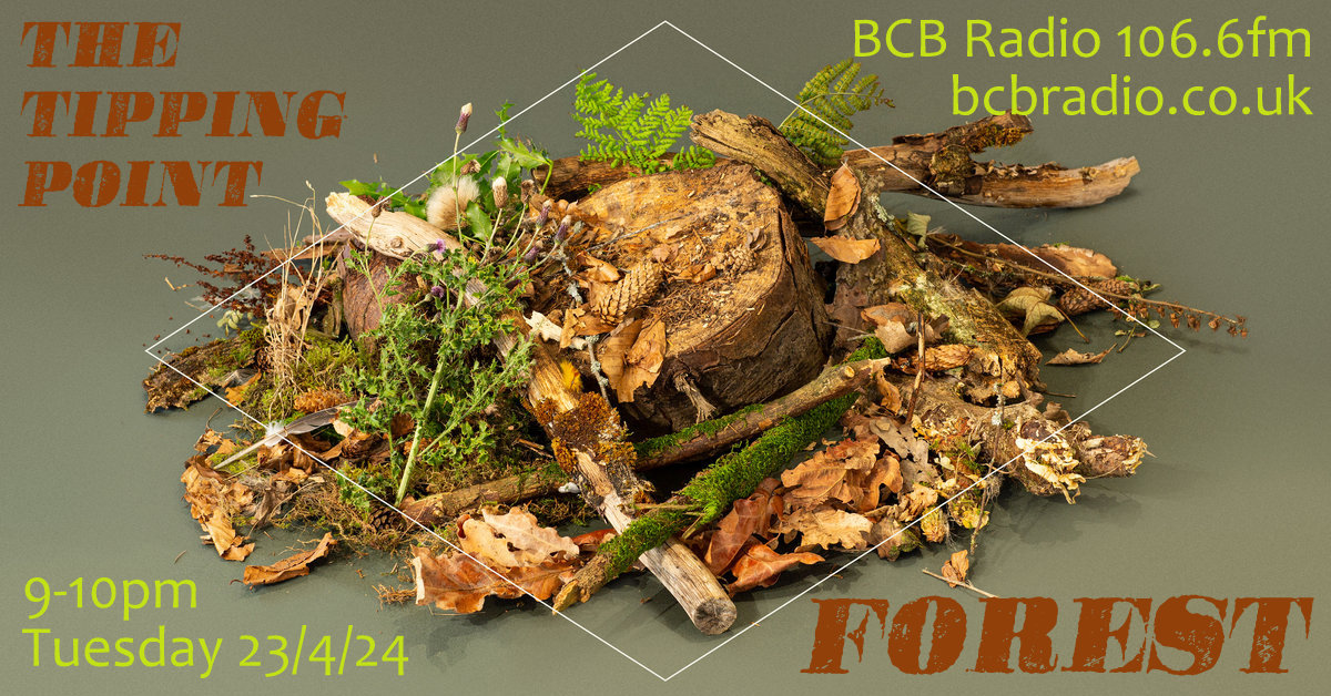Finding his way through the woods, Tony branches out with a bunch of tracks relating to forests and trees in his @BCBRadio Tipping Point broadcast 9-10pm on Tuesday 23/4/24 on 106.6fm in Bradford and bcbradio.co.uk in the rest of the world.