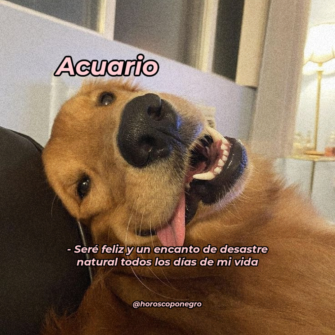El perrito adorable Acuario ♒ tiene algo qué decir ✨