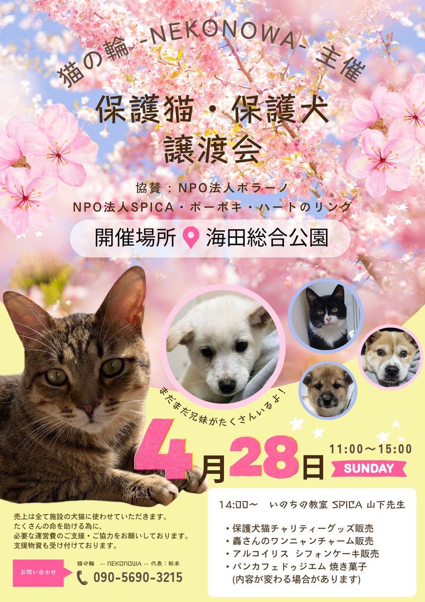 NPOSPICA's tweet photo. 次の日曜日はこちらのイベントでお話しさせていただきます🌸
一般の方向けにお話しする機会は多くないので、感謝＆とても楽しみにしています🐈‍⬛
たくさんの犬猫たちが譲渡会に参加していると思いますので、ぜひご来場ください🐈🐕 https://t.co/5992d9HNJt