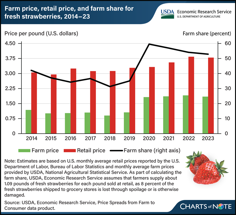 Farmers received about half of what consumers paid for fresh strawberries from 2020–23. Learn more in today's Chart of Note: ers.usda.gov/data-products/….