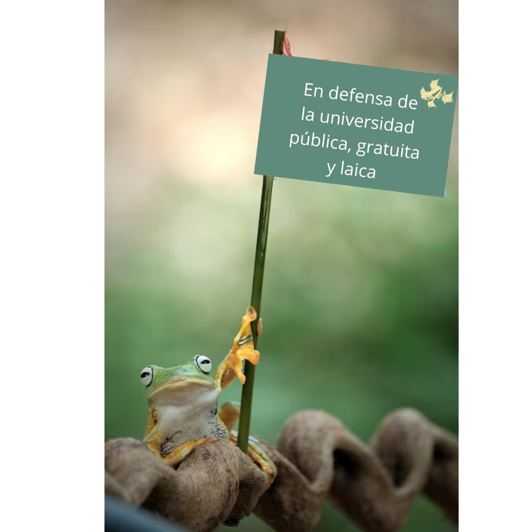 Por el sistema científico nacional. Por la universidad pública gratuita y laica. 

#MarchaUniversitaria 
#MarchaFederalUniversitaria