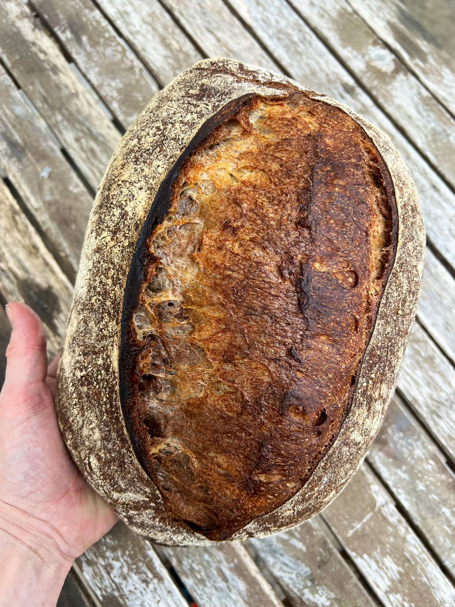 Marble Rye Sourdough 🌾 What should I make for lunch?