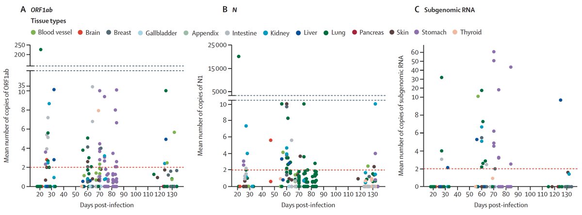 The story of frequent persistence of #SARSCoV2 in multiple organs after mild Covid keeps getting stronger, and correlates (odds ratio >5) with symptoms of #LongCovid 🆕@TheLancetInfDis thelancet.com/journals/lanin…