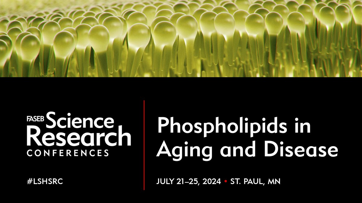 Abstracts Due 5/26!🌟 Explore the latest in #Phospholipid Biology at #LSHSRC! Join Antonella De Matteis @Tigem_Telethon and @VolkerHaucke in July for 'Phospholipids in Aging and Disease.' Topics: lipid signaling, treatments for diabetes, cancer, & more. bit.ly/3xQj5yp