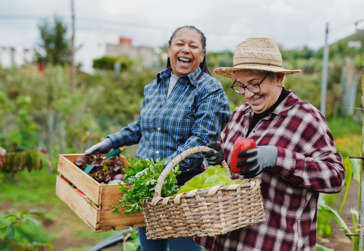 Did you know that Extension Master Gardener is one of the largest volunteer organizations in the country? There are more than 86,076 volunteers in all 50 states + DC!

Learn how to get involved here: mastergardener.extension.org #NationalGardenMonth #NationalVolunteerMonth