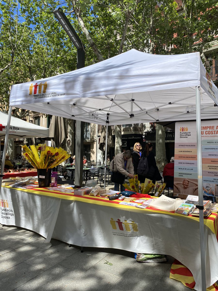 bertagv14's tweet photo. La rosa més solidària a Olot.❤️‍🩹🌹

@OncolligaGi https://t.co/HGEm11KMcj