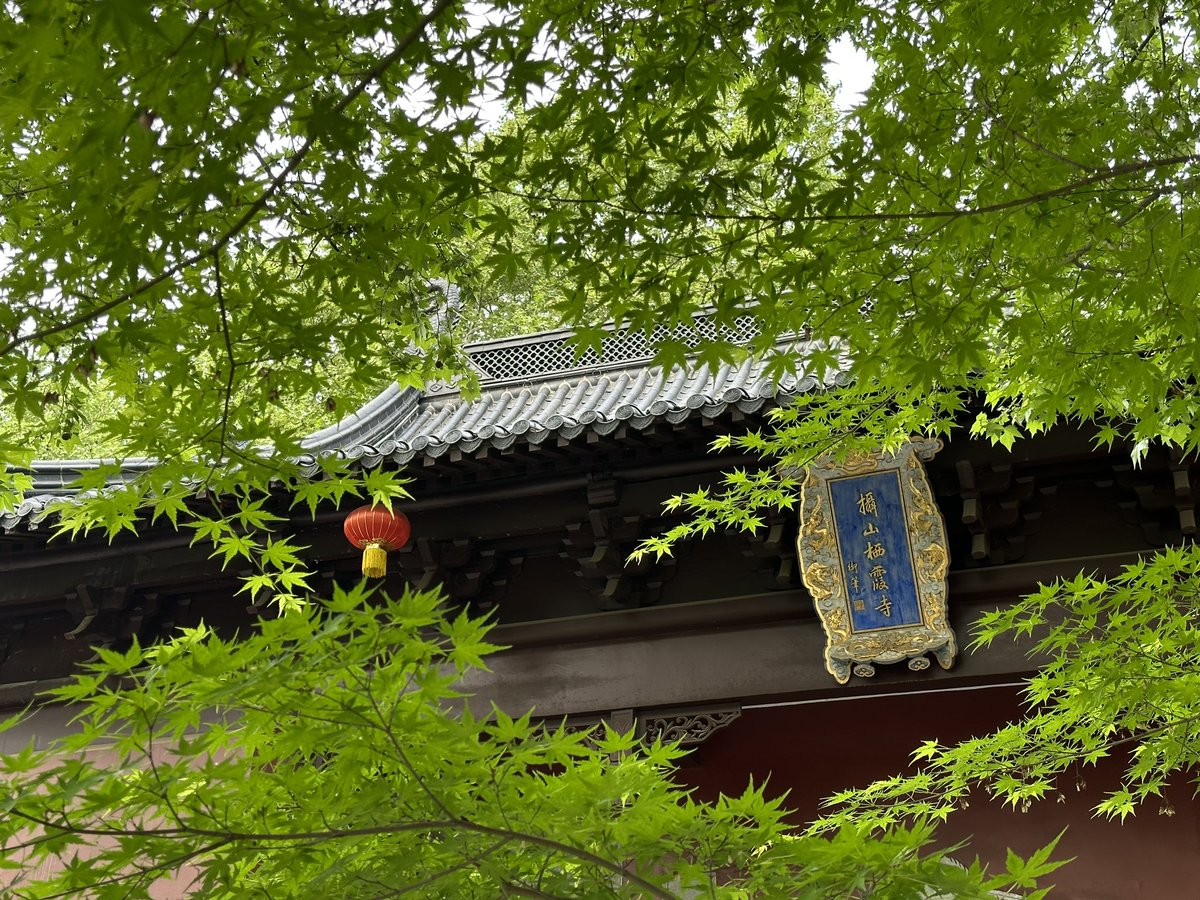 发现盗图狗，索性删掉了一些帖子，以后不定期分享或删除。求推荐可靠AI照片和视频软件，谢谢大家。