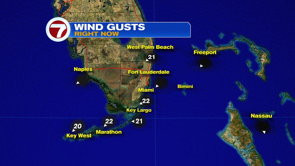 Wind gusts up to 22 mph in some areas. @wsvn #Flwx