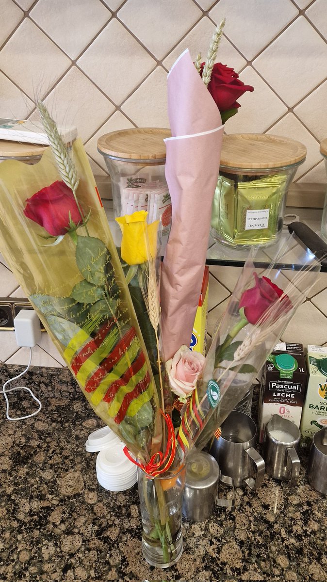 FXenet's tweet photo. #fornfreixenet us desitja que gaudiu d'una Bona Diada de Sant Jordi! 📚🌹 https://t.co/kI7uWwrGjk