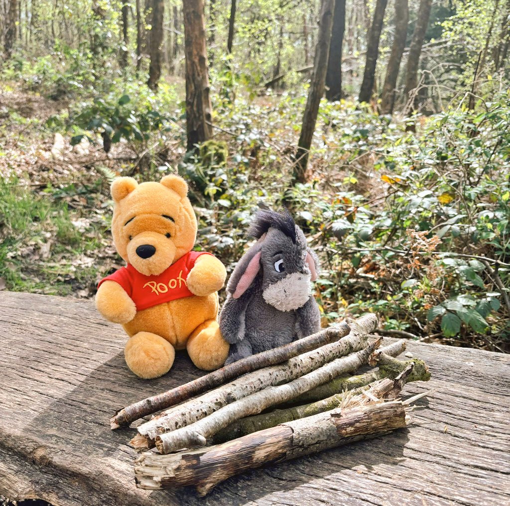 _bradio's tweet photo. It never hurts to keep looking for sunshine 🌞 ~ Eeyore @PoohCornerUK https://t.co/Sb6Mmq3WBW