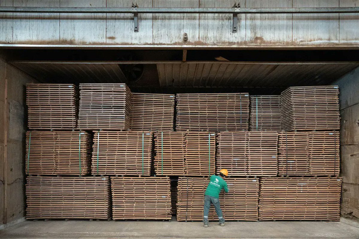 #CarbonCredit projects normally involve reforestation, but a surprising logic is being used in Peru. There, timber companies claim carbon credits for trees they don’t cut down. @pulitzercenter @SimeonTegel reports for @washingtonpost 👉 bit.ly/3xMgBku