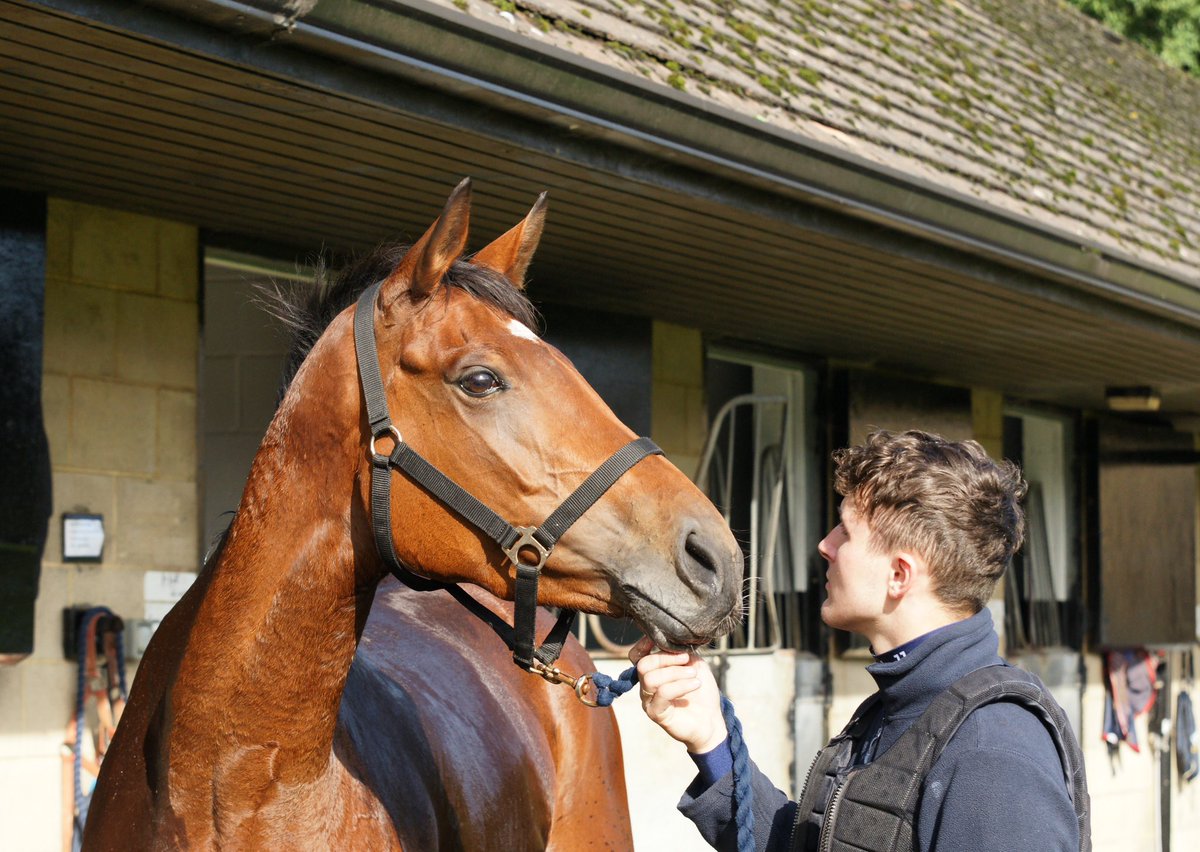 We have two runners at Southwell today. Richie rides both Chooch (pictured here with Jack) in the 4.05 Mares’ Novices’ Hurdle and Yes Indeed in the 5.15 Handicap Hurdle.