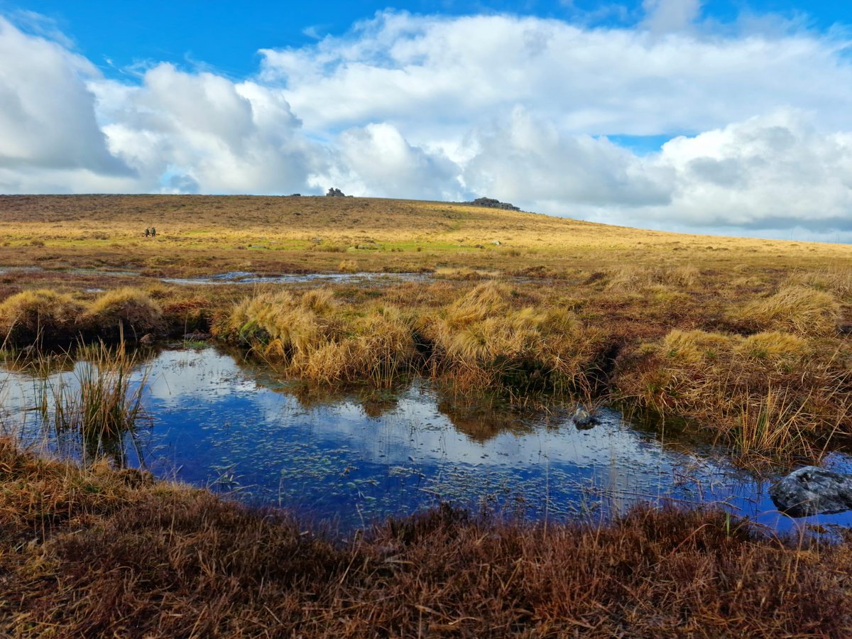 📢#Peat event! Don't miss the Fens East Peat Partnership & @NaturalEngland monthly lunchtime webinar next Monday 29 April featuring our very own @JaneAkerman, @Renee_Hermans and Jess Williams talking about some of our latest developments! Find out more: iucn-uk-peatlandprogramme.org/events/fens-ea…