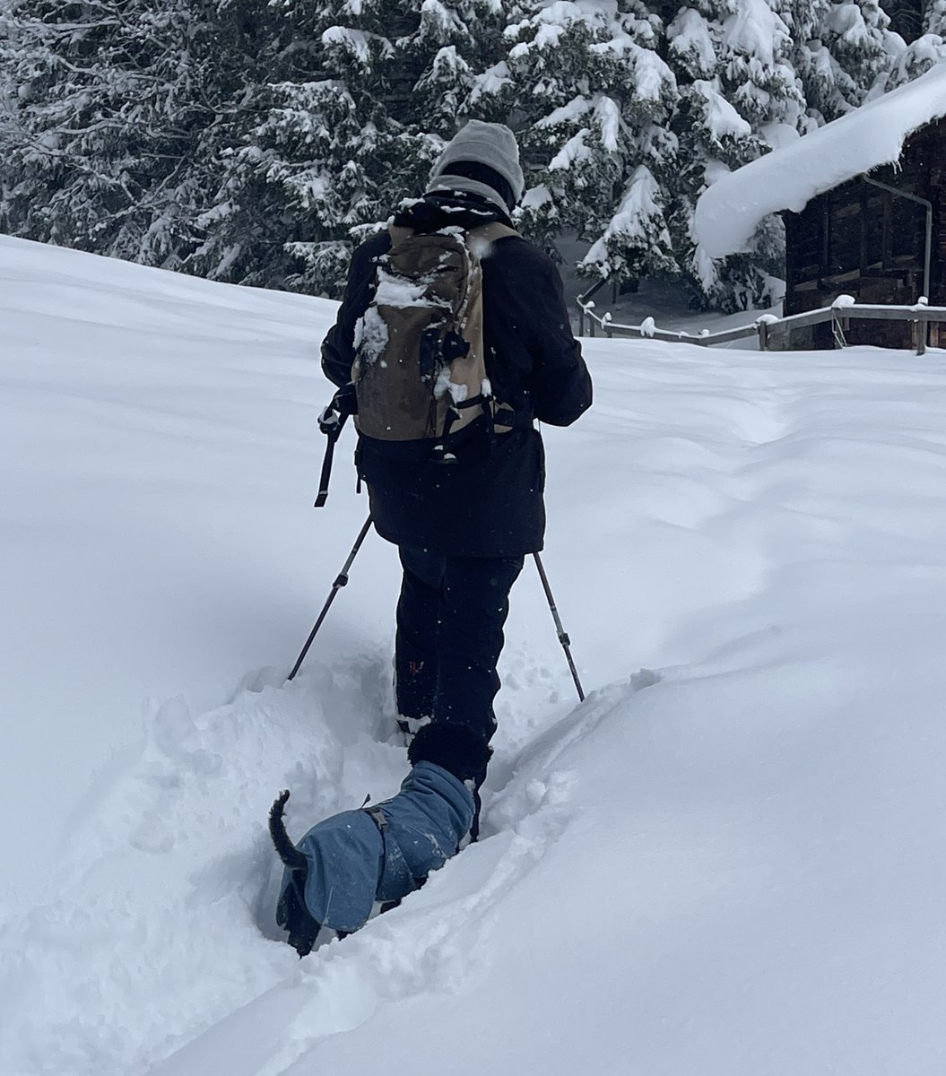 josef_lang's tweet photo. Nie ohne Frida! Heutiges Schneeschuh-Laufen im #Hunneflue - vis à vis von Goethes #Staubbachfall. https://t.co/zrCK0GDRVw