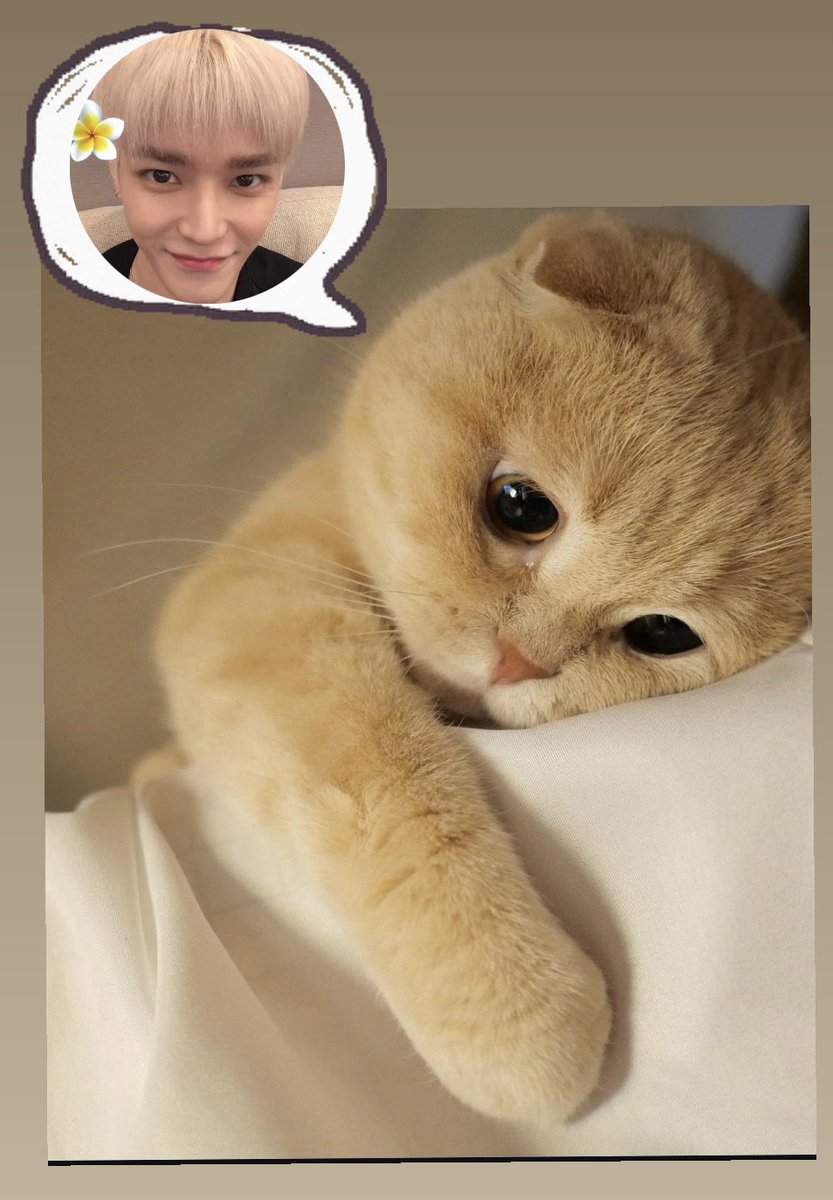 tyongnified's tweet photo. me every damn time https://t.co/FRe5SHdEyy