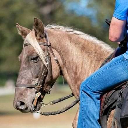 April 22nd was Earth Day, and as I think about the virtues of this planet, I begin to make connections between horses and the earth. Caring for and riding horses must be among the most earth-dependent activities left to us (aside from farming and other such activities). The