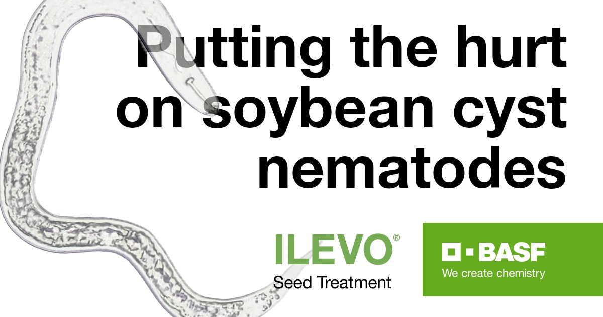 BASFAgProducts's tweet photo. $1.5 billion in soybean yield. That’s how much SCN cost farmers each year. THEY MUST BE STOPPED! ILEVO® seed treatment from BASF can help. https://t.co/RoNCDvagpw https://t.co/8PedJC3vSu