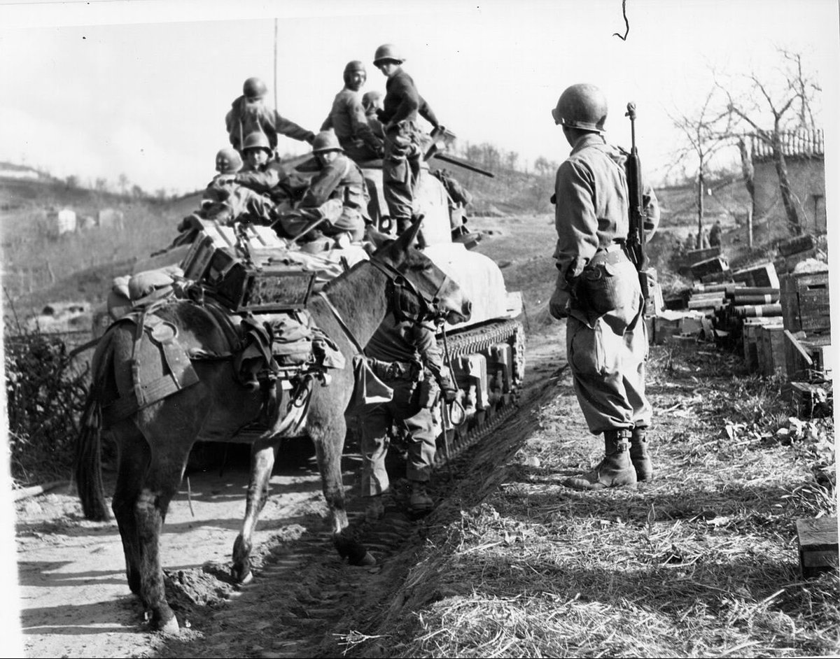 23 kwietnia 1945 - ostatnia szarża kawaleryjska II wojny (wbrew mitom, nie polska szarża pod Borujskiem) Na froncie włoskim amerykański konny dywizjon rozpoznawczy (10 Dywizja Górska) starł się z Niemcami. Amerykanie ponieśli duże straty ostrzelani z gniazda karabinu maszynowego