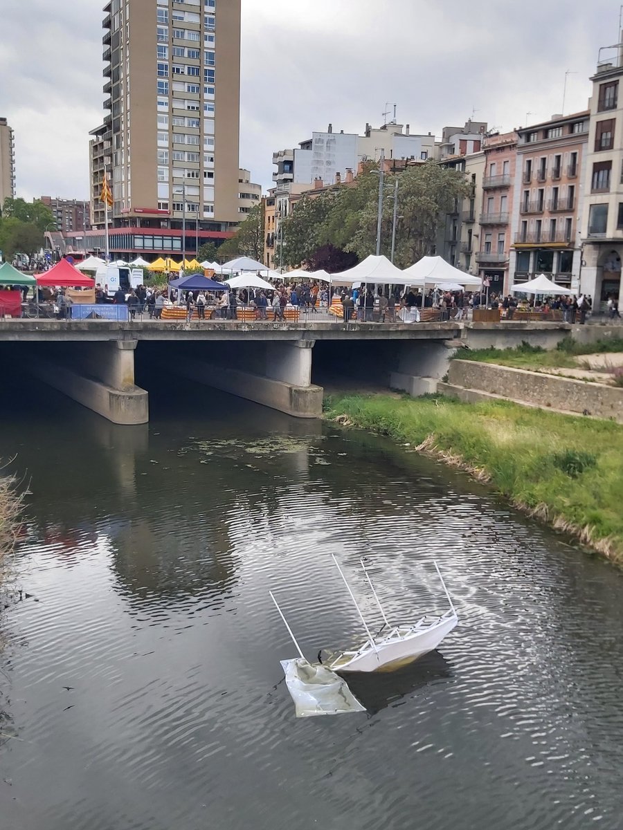 adria_compte's tweet photo. Les #carpes de l'Onyar #SantJordi24 https://t.co/qmYBflj48x