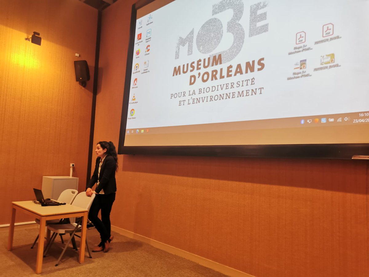Presentation des ressources du @MuseumOrleans par la conservatrice @LaureDanilo #biodiversité #environnement