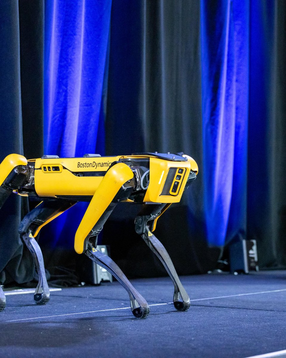 SATORI & SCOUT tweet media