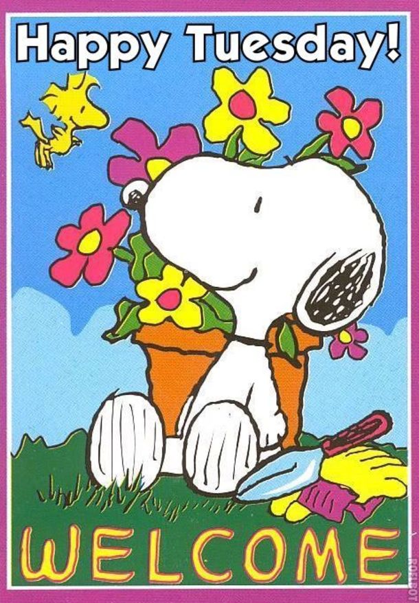 Happy Tuesday! Welcome, to wherever you are! Live in the moment. 🌞 

#happytuesday #spring #snoopy #liveinthemoment #positivelysunshine