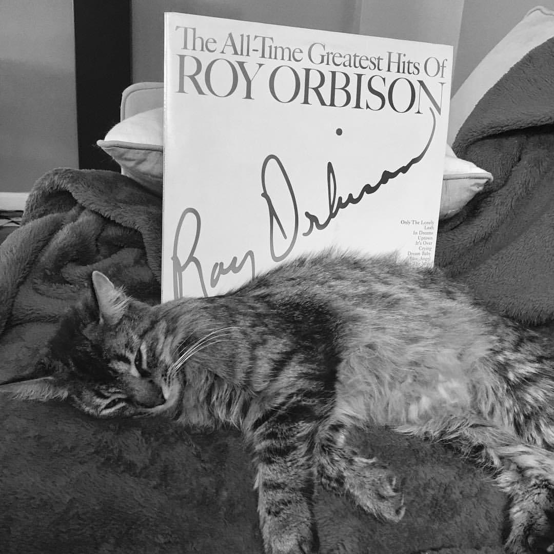 TUESDAY SPINS THE ALL-TIME GREATEST HITS OF ROY ORBISON (1972) Remembering Roy Orbison (April 23, 1936 –December 6, 1988) Here is Iggy with a compilation featuring hits such as “Only the Lonely” (#2 US Pop), “Running Scared” (#1), “In Dreams” (#7), and “Oh, Pretty Woman” (#1)