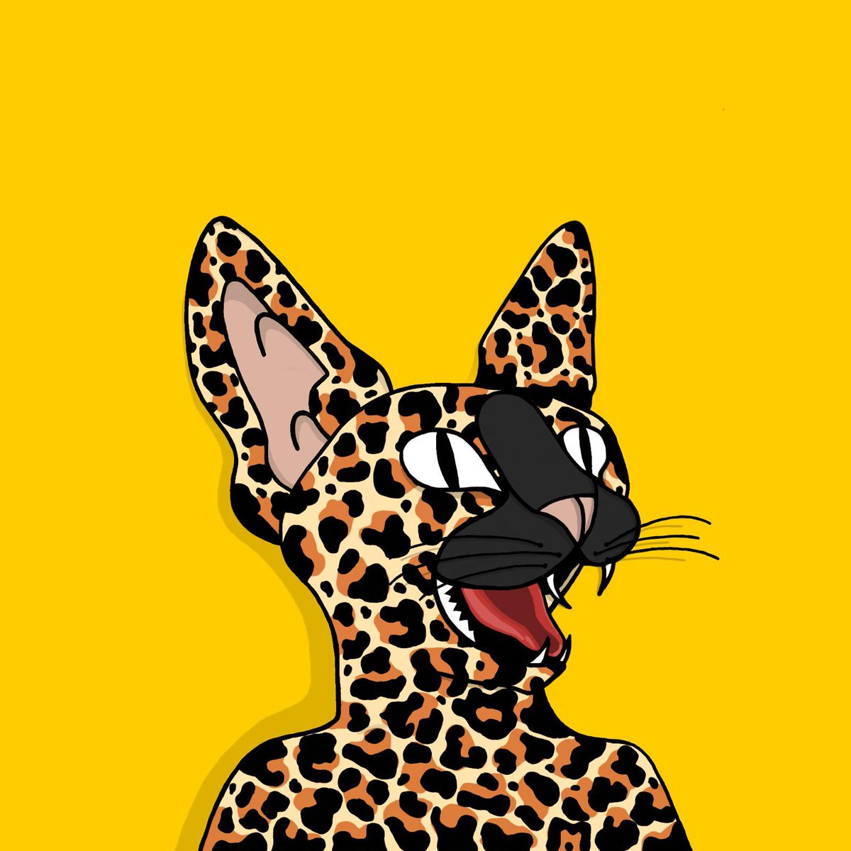 Sphynx 🛡️ tweet media