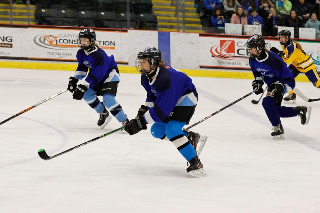 @VillanovaSchool Vipers are ready to go Playoffs start this evening 📍 CBS arena 🕠 530 pm 🆚 Roncalli @VJH_PE @HSH_PE_Dept @HolySpiritHS Let's go Viper's