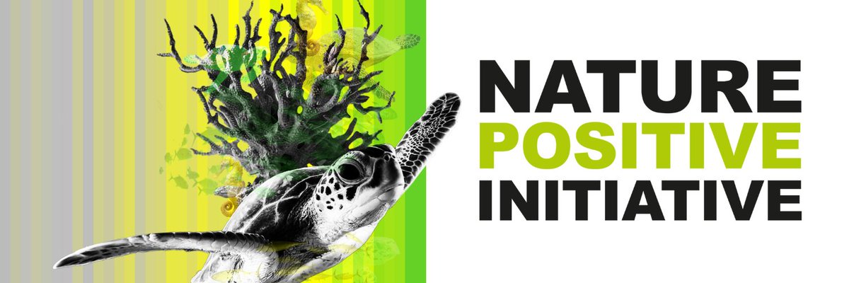 📢Our team is growing! Join the NPI Secretariat as Head of Strategic Engagement to support the Nature Positive Forum and develop strategic partnerships and presence in international events.

Find out more👉 naturepositive.org/app/uploads/20…

#NaturePositive #hiring