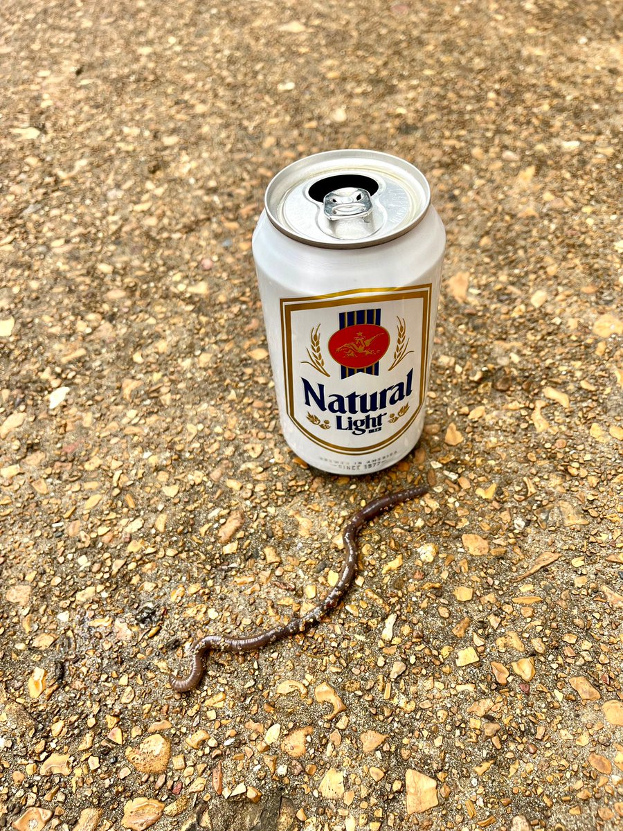 Would you still drink beer with me if I was a worm?