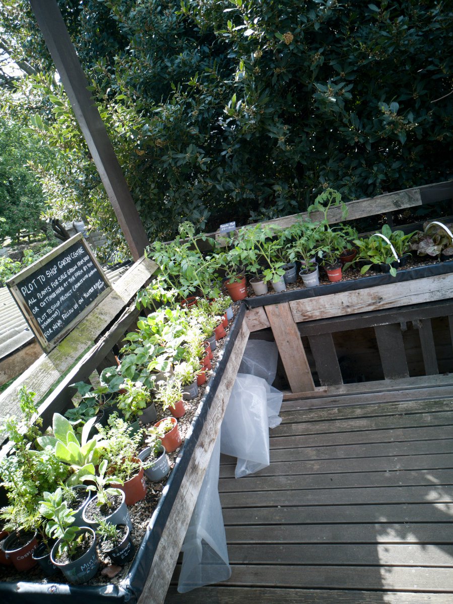 We grow a lot of plants, we sell the ones we don't need outside the shop, named varieties of tomato for £2 each and unknown for £1 each as well as other herbs, vegetable plants and flowers
#GoodToGrow2024