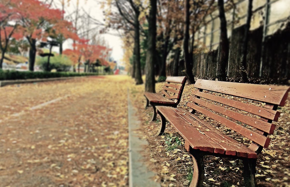 From the streets to the ministry, God has used my brokenness for His purpose, but want to know one thing that has consistently made a difference on this journey? Silence. 

Spend time in silence, listening for His voice to speak to your heart.  He speaks to those who seek Him.