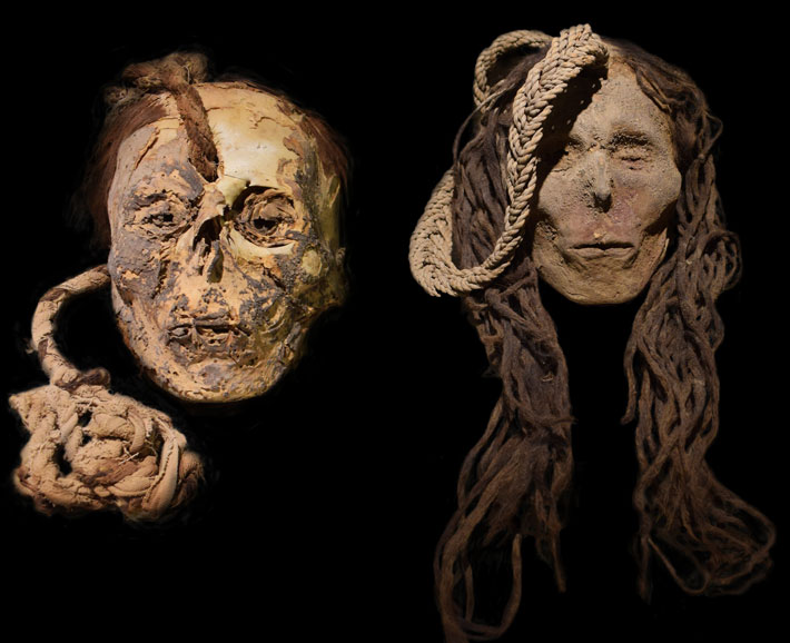 Dos de las cabezas-trofeo, una de niño y otra de mujer, resultado de una antigua ceremonia realizada en Perú. (Foto: Dagmara Socha). Un estudio ha encontrado rastros de plantas psicoactivas en muestras de cabello de antiguas momias de Nazca y cabezas trofeo cortadas en
