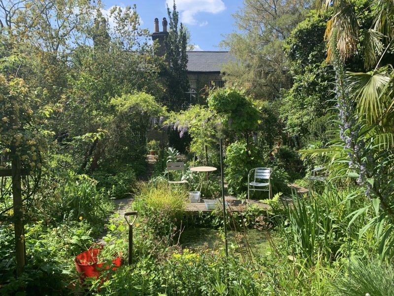 South London Botanical Institute, SE24 9AQ is opening its garden from 2-5pm this Sunday 28th April. London's smallest botanical garden is a lush green haven, home to many rare and unusual (and all labelled!) plants. Entry £5, children free.