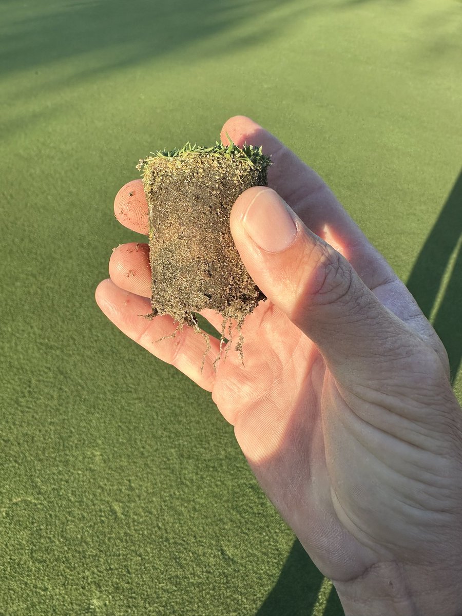 First pic is weak area of the pg, second is a heavy traffic area and third is a spot where we never put cups. Fourth is hole 10 green. Greens are loving all this warm weather recently and longer days with sun w/ no cloud cover. About time for a more aggressive verticut