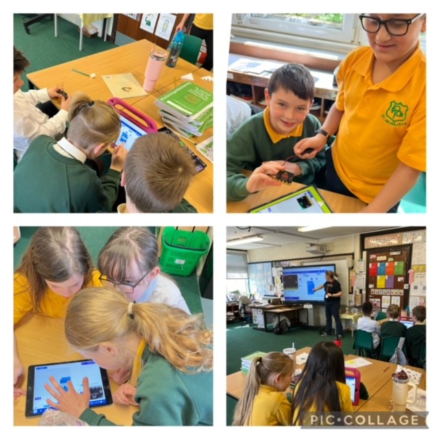P4b would like to thank Mrs Begg for showing us how to code a Microbit.  We had lots of fun exploring. @wldigilearn #p4stnics #digitallearningstnics