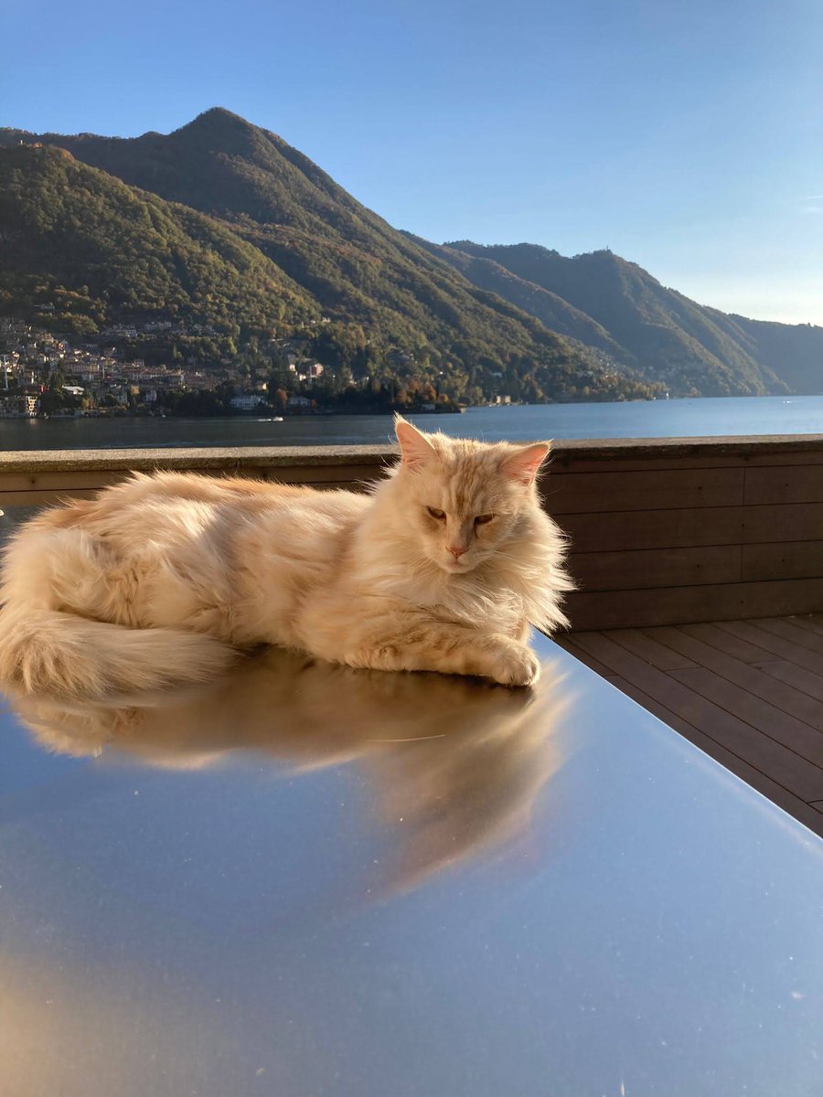 #NaturePhotography 
#naturalwonder 

Lago di Como