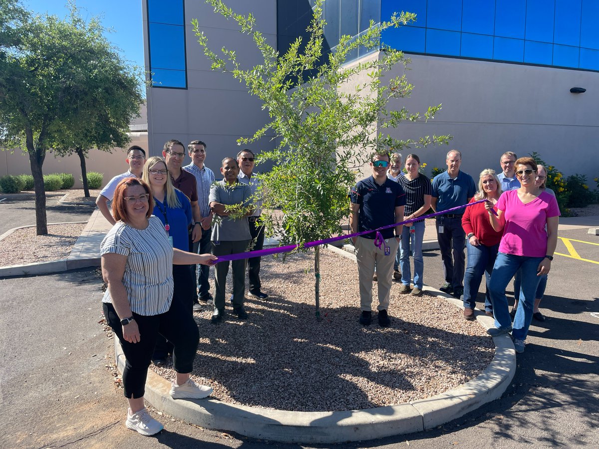 🌳🚶‍♂️ Our #EarthDay celebration at our Tempe site was a breath of fresh air! We kicked off with a tree planting and took steps towards #sustainability with a 'Plalking' Adventure. Thanks to our team for making it happen! 🌿💚 #AdvancingDigitalLiving emdgroup.com/en/sustainabil…