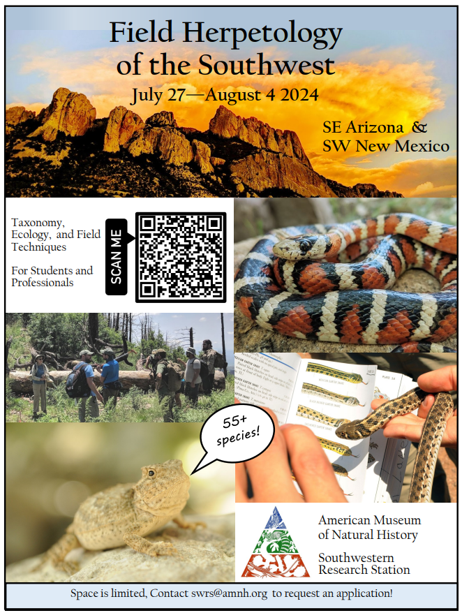 Last call for the Field Herpetology of the Southwest course, only a few spots left! Share with interested students or anyone else (all are welcome!).