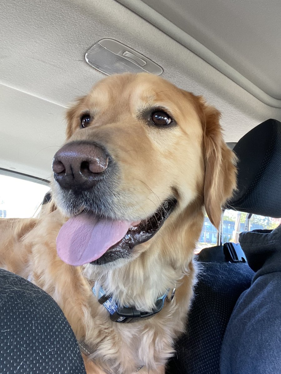 Sending hugs and❤️❤️ to #GRC !
ManaB likes #TongoutTuesday and road trips!