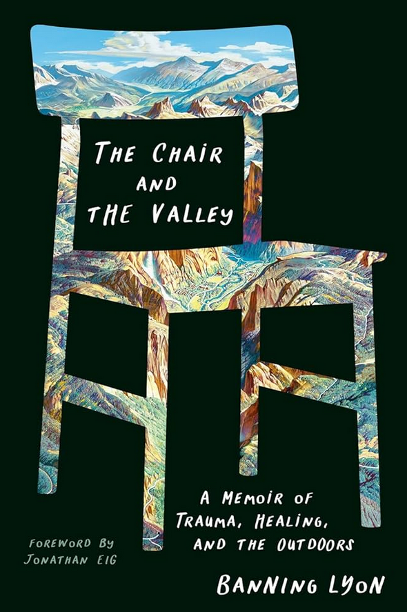 Highly recommend 'The Chair and the Valley' by @BanningLyon. Here's my recent starred review for @ALA_Booklist. If you don't know what Nat Medical Enterprises (now Tenet Healthcare) did to kids in the name of $$, you need to. Still thinking about this book - it's outstanding.