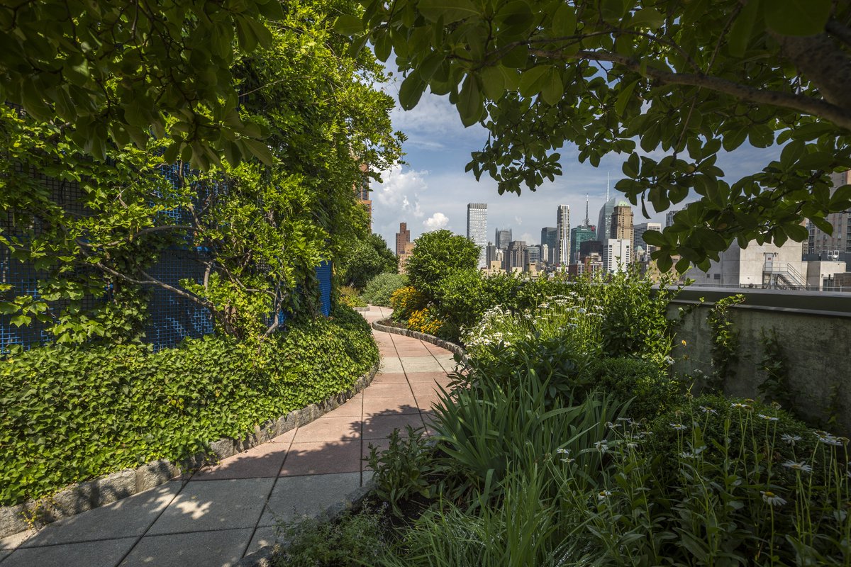 JMDLandscapes's tweet photo. The path of this endless rooftop garden is like being in a different world—it takes your breath away. The greenery is so lush and vibrant, every step reveals more beauty. 

https://t.co/dwBqJbJkeu
----
#JohnMini #Distinctivelandscapes #Birdseyeview https://t.co/xx4RCHU5dj