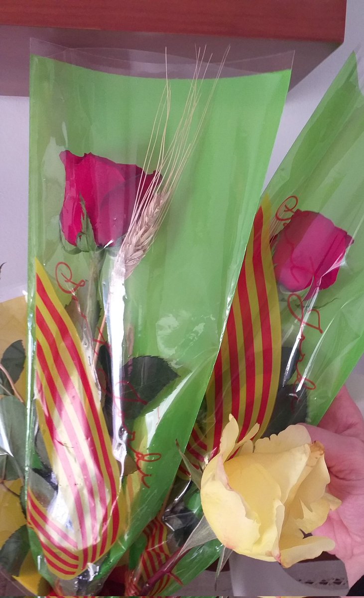 NaliaGaGo's tweet photo. Aquesta diada de Sant Jordi,
📚 Llibres en català i escrits per 💜 dones #LecturesPendents.
🌹Roses del @joventstandreu
👥 Compartint el dia amb @ERC_SantAndreu
#SantJordi2024
#SantaJordina2024 https://t.co/xhJ0cZtppW