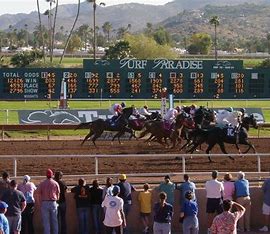 Play the Quarter Horses and the Thoroughbreds @Turf_Paradise today, first post is 4:00pm ET on the nine race card kicking off the .50cent Pick3 & Pick 4. Sign up for your FREE account today! amwager.com #AQHARacing #Turfparadise #horseracing