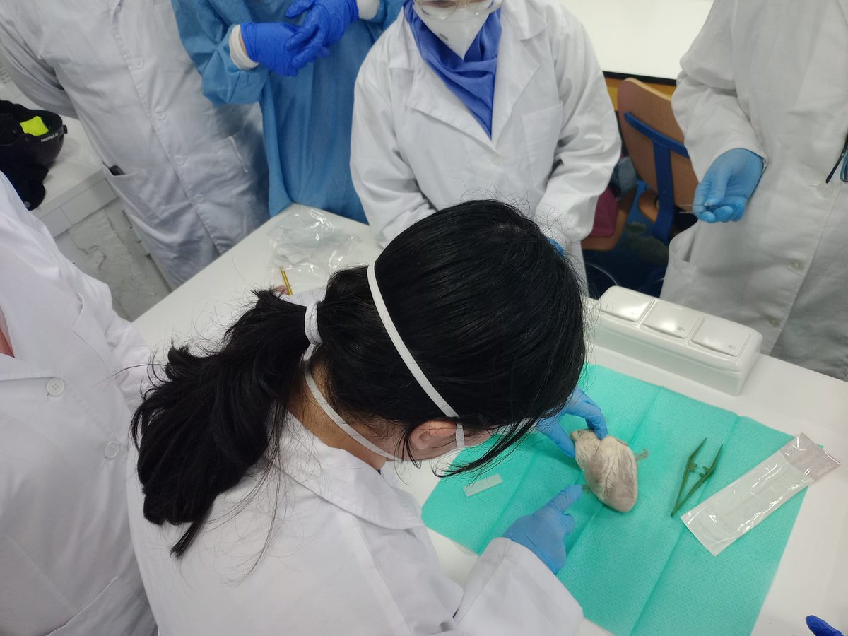 FPsanidad tweet media