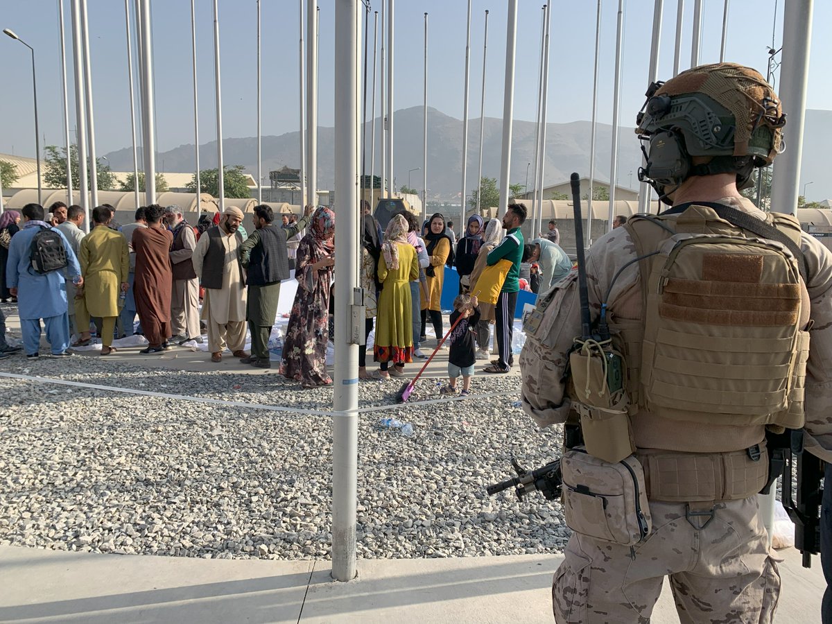 Gonzalo Araluce tweet media