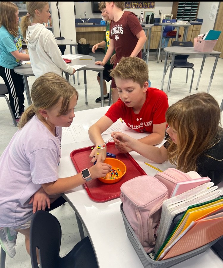 ChinaSpringES's tweet photo. Students in Mrs. Stewart’s fourth grade class explored animal adaptations by conducting a lab on types of bird beaks. They determined the shape of the beak correlates with what it eats. #ourWHY https://t.co/PvohddEGHf