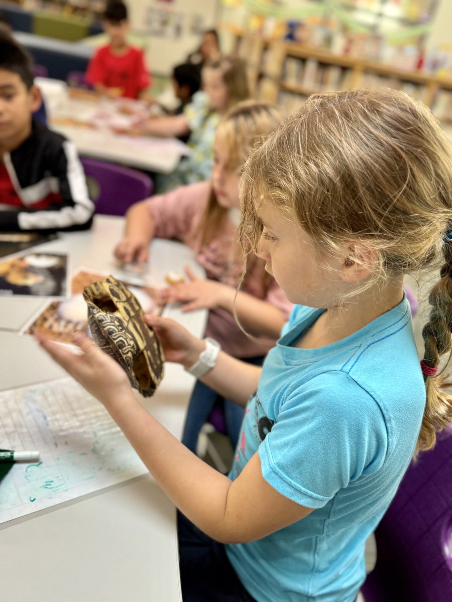 Today, 1st &amp; 2nd graders enjoyed a presentation by Andrew Harrod from Texas Wildlife Association. Students enjoyed the hands on experience! 
🐛🦋🐸🐢🐓
#DVProud #GrowingGreatness