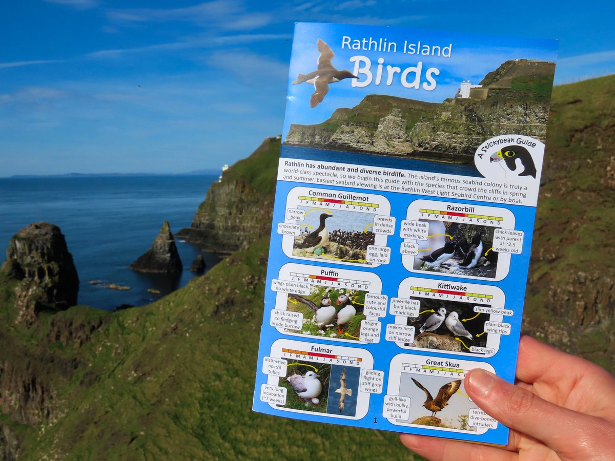 New for 2024, we've created a handy wee booklet of the birds of Rathlin 🤓  
It shows the species most likely to be encountered on the island, when you can expect to find them here, and tips for identifying them all in the field. Find out more at rathlinstickybeak.wordpress.com/2024/04/23/a-s…